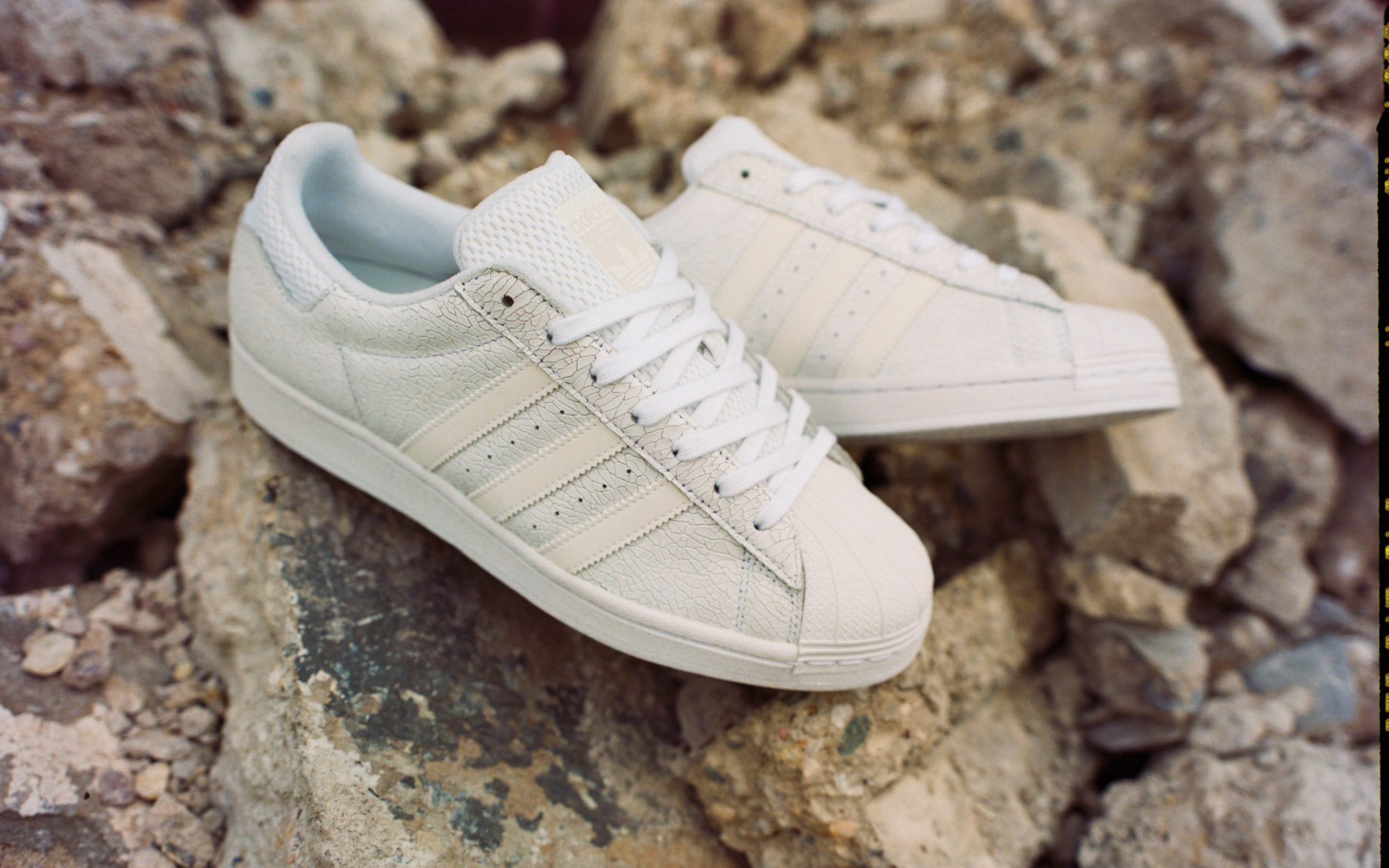 ADIDAS SKATEBOARDING /// VITORIA SUPERSTAR ADV